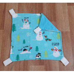 Snowman/ Aqua Flannel Flat (Small)