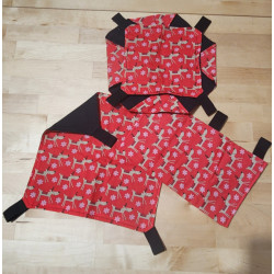 Red Rein Cotton/ Black Flannel Set